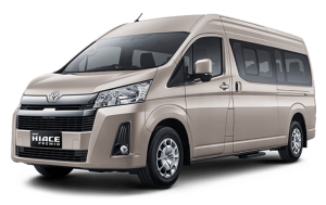 Warna Beige Metallic