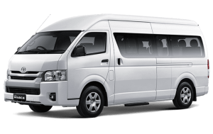 Warna White